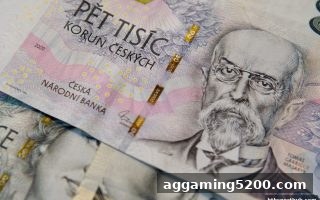 华体会体育深度解析：USDT入金审核真相与生日礼金领取全攻略