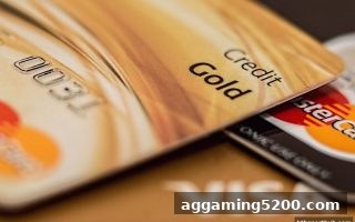 华体会体育TRC20入金审核全攻略：资料清单与流程详解