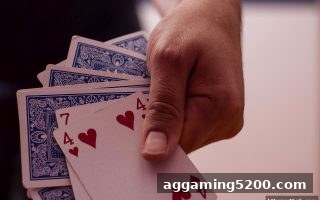 华体会体育龙虎博弈全攻略：从入门概率到提款无忧