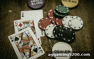 华体会体育视角下的龙虎斗沉浸式桌游体验设计全解析