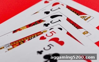 华体会体育推荐：龙虎斗桌游——情侣深度互动的策略指南