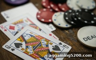华体会体育深度解析：桌游世界多元魅力与平台抉择攻略