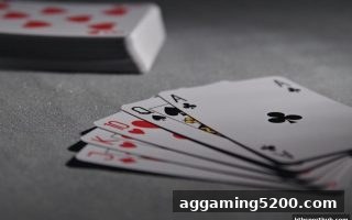 华体会体育深度解析：GR电子桌游设计品质与USDT提款全维度指南