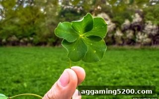 华体会体育视角：深度解析真实彩票教育与每日返水的协同价值