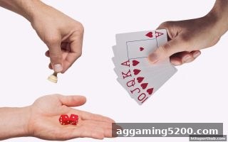 华体会体育深度解析：金沙城报牌频率与策略调整全攻略