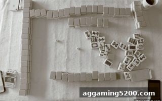 华体会体育详解：红中麻将与推牌九布局技巧精要