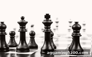 棋牌产业数字化变革：华体会体育如何驱动移动端新体验
