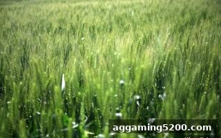华体会体育：牌九起手牌技巧深度解析与实战指南