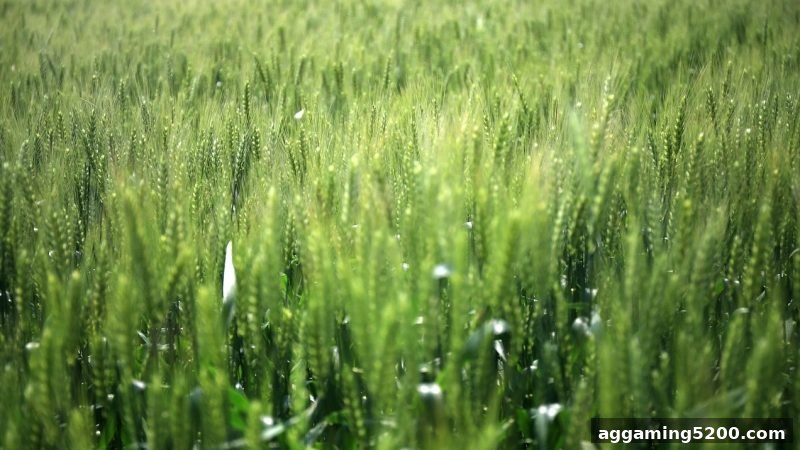 华体会体育：牌九起手牌技巧深度解析与实战指南