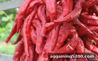 华体会体育深度解读：PG电子洗码活动如何让你每一注都更有价值？