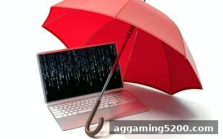 华体会体育解读：马耳他游戏监管体系与合规备案全流程