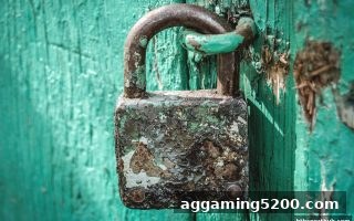 华体会体育深度剖析：在线娱乐平台维权实操手册——轻松应对异常活动，捍卫您的资金安全