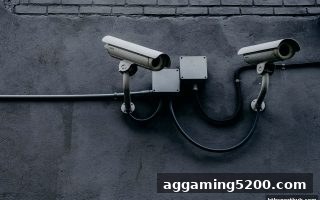 华体会体育视角：AG真人线上娱乐的合法性、风险与亏损补贴真相