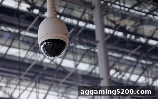 华体会体育深度解析：高效投诉处理流程如何重塑平台口碑