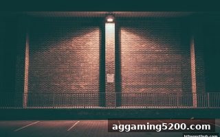 华体会体育推荐：深度剖析JJ斗地主PG游戏的独特魅力与策略