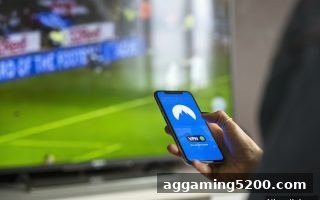 华体会体育视角：USDT数字支付如何重新定义NBA球迷互动生态